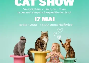Expoziție de pisici la Mall Moldova &ndash; 17 mai 2025