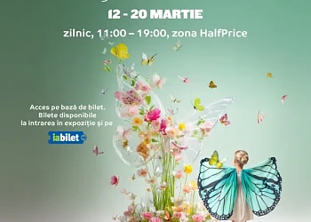 Expoziție Fluturi vii la Mall Moldova in perioada 12 - 20 martie 2026