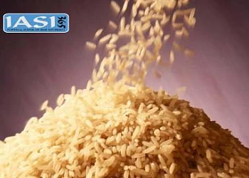 Orez alb proaspat pentru supa de regim