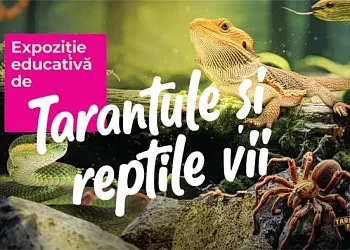 Afisul expozitiei Tarantule și reptile vii de la Palas Mall din Iași 2026
