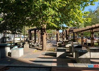 Esplanada Mimoza un loc de odihna pentru iesenii din Pacurari