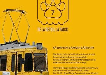 Tramvaiul Responsabilității &ndash; colectare donații pentru c&acirc;inii adăpostului municipal, Iași, 13 iunie 2026