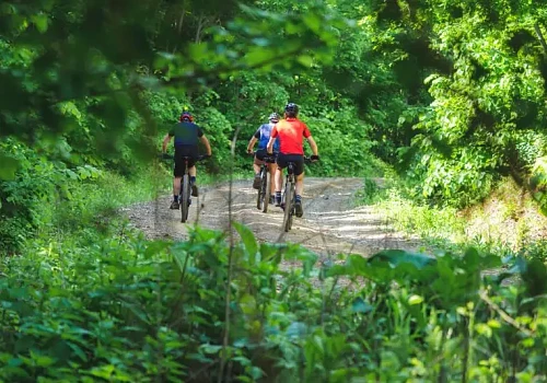 Cicliști mergand pe bicicleta la Bârnova Iași