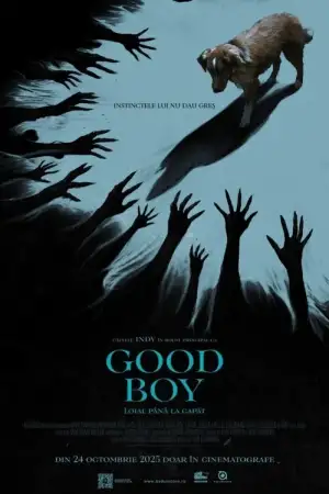 Filmul «Good Boy: Loial până la capăt» – program Cinema City Iași (24–30 oct 2025) Filmul «Good Boy: Loial până la capăt» – Cinema City Iași, 24–30 oct 2025