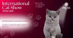international cat show in Atrium Palas mall octombrie 2025