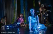 Secventa din piesa Mica sirenă din programul Teatrului Luceafarul din Iași